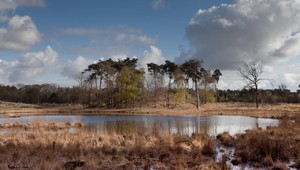 Hatertse en Overasseltse vennen